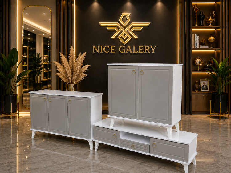 جاکفشی و میز تی وی